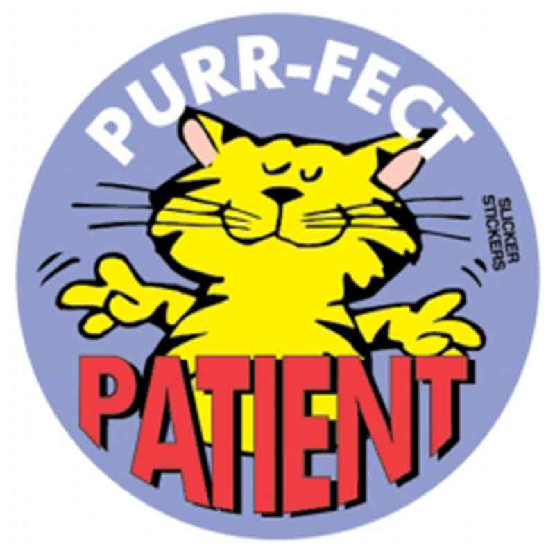 #5 Purr-Fect Patient