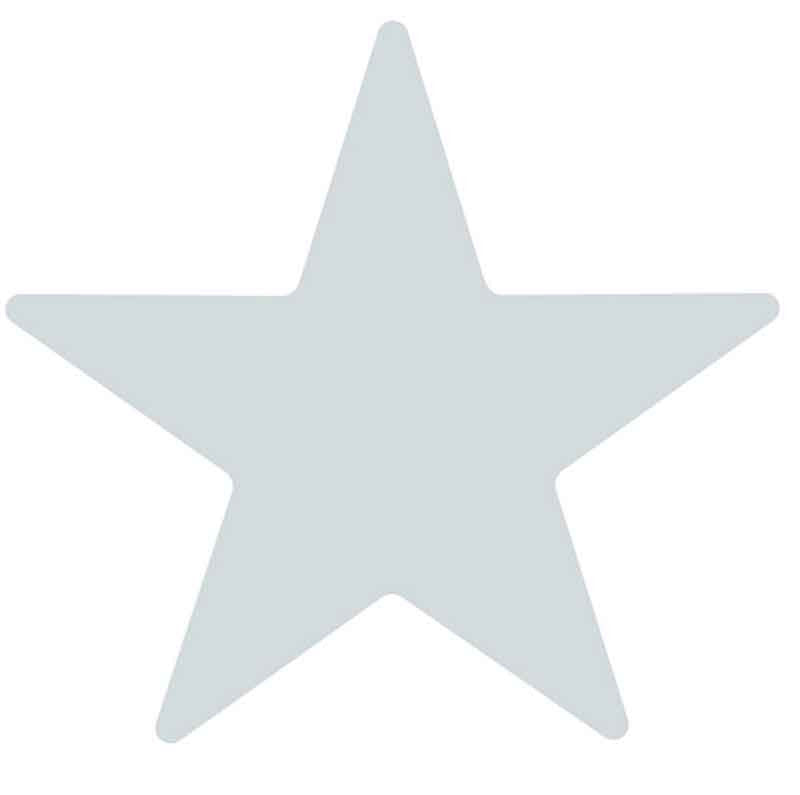 Silver metallic star sticker with a clean, reflective finish. Ideal for student rewards, merit charts, and certificates.