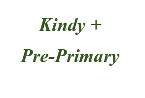 Kindy / Pre-primary