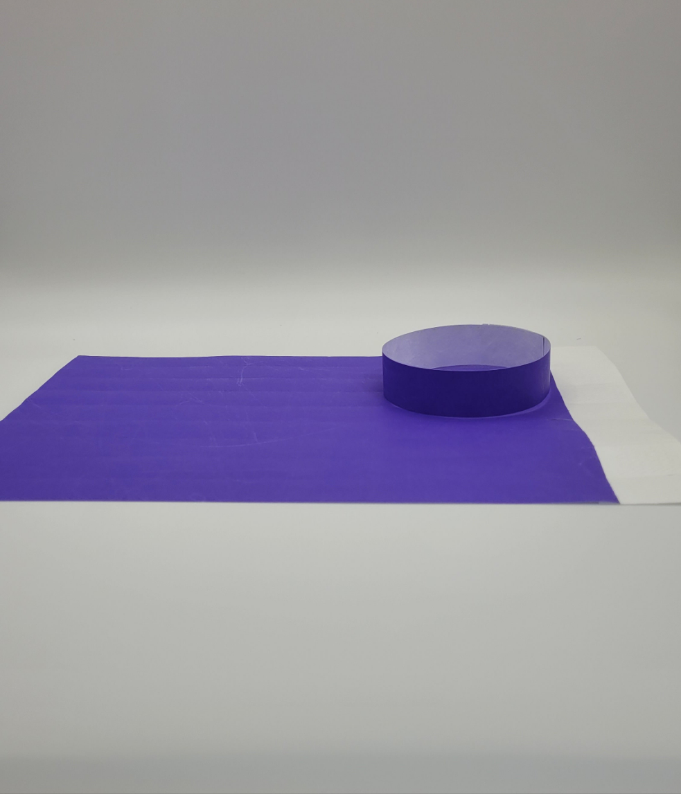 Purple Tyvek Wristband 250 x 19mm (50 pack)
