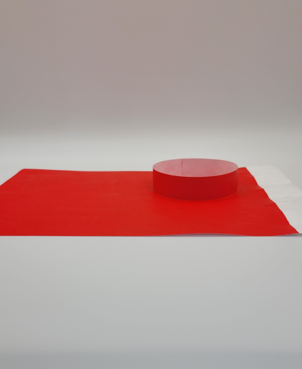 Red Tyvek Wristband 250 x 19mm (50 pack)