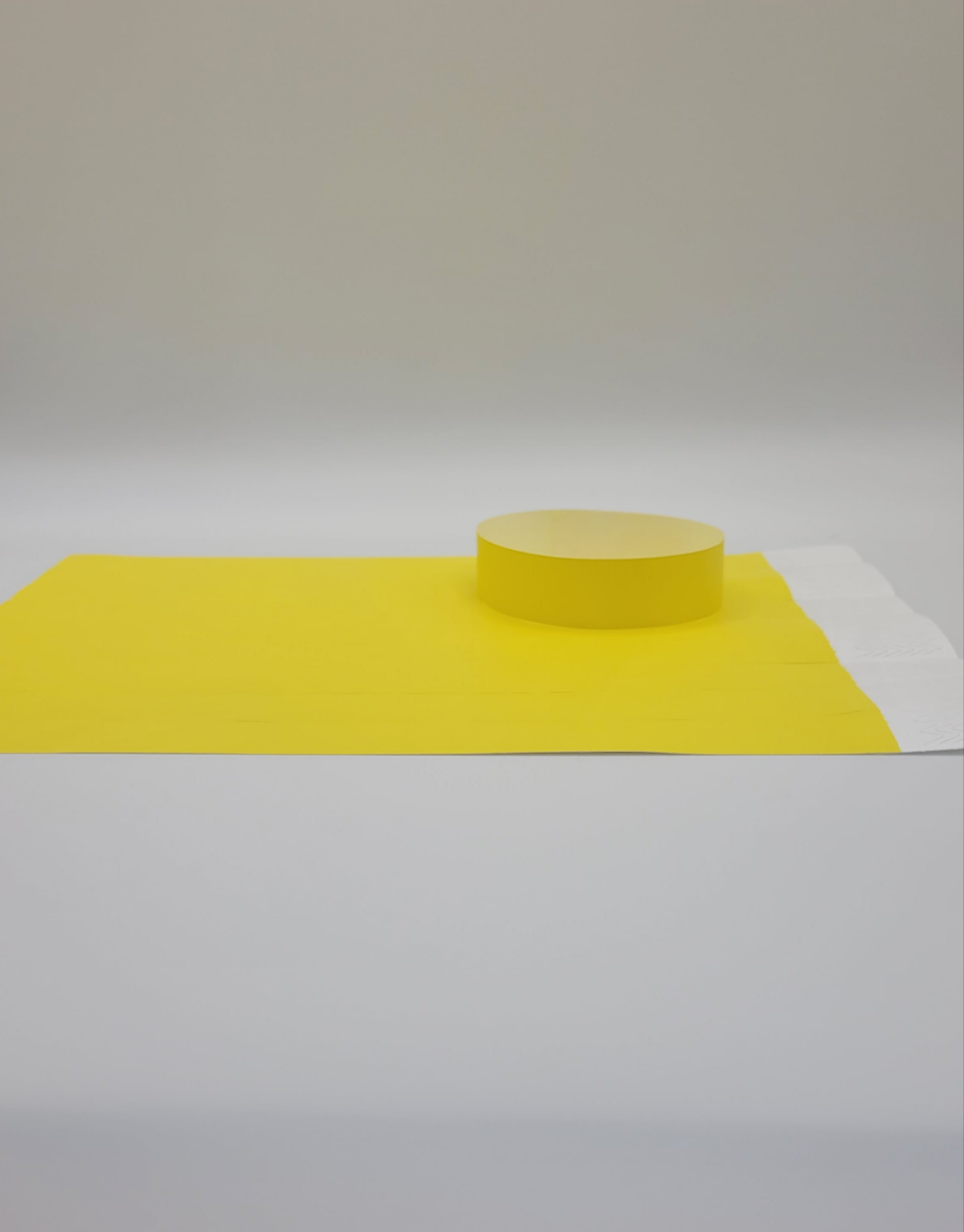 Yellow Tyvek Wristband 250 x 19mm (50 pack)