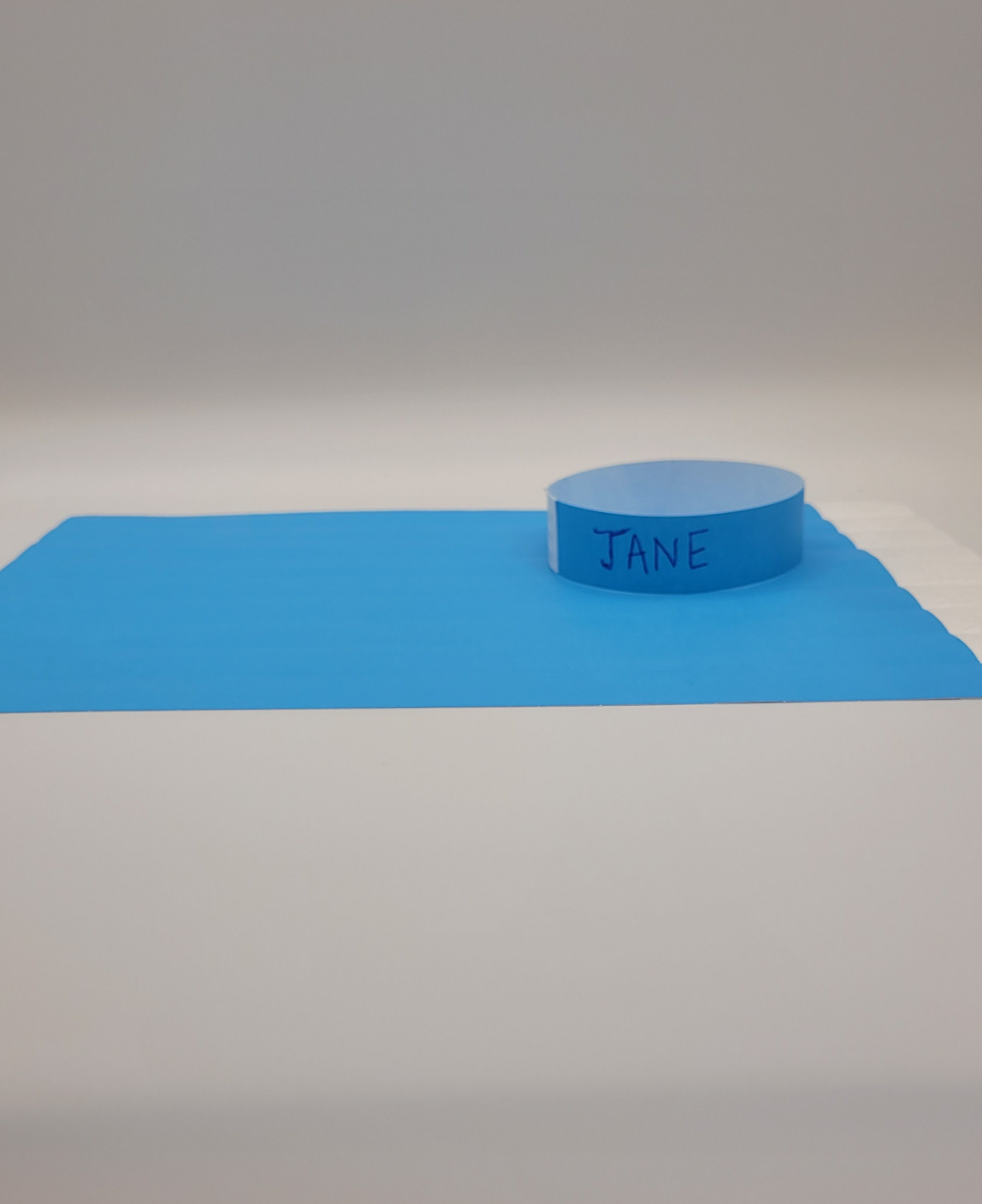 Blue Tyvek Wristband 250 x 19mm (50 pack)