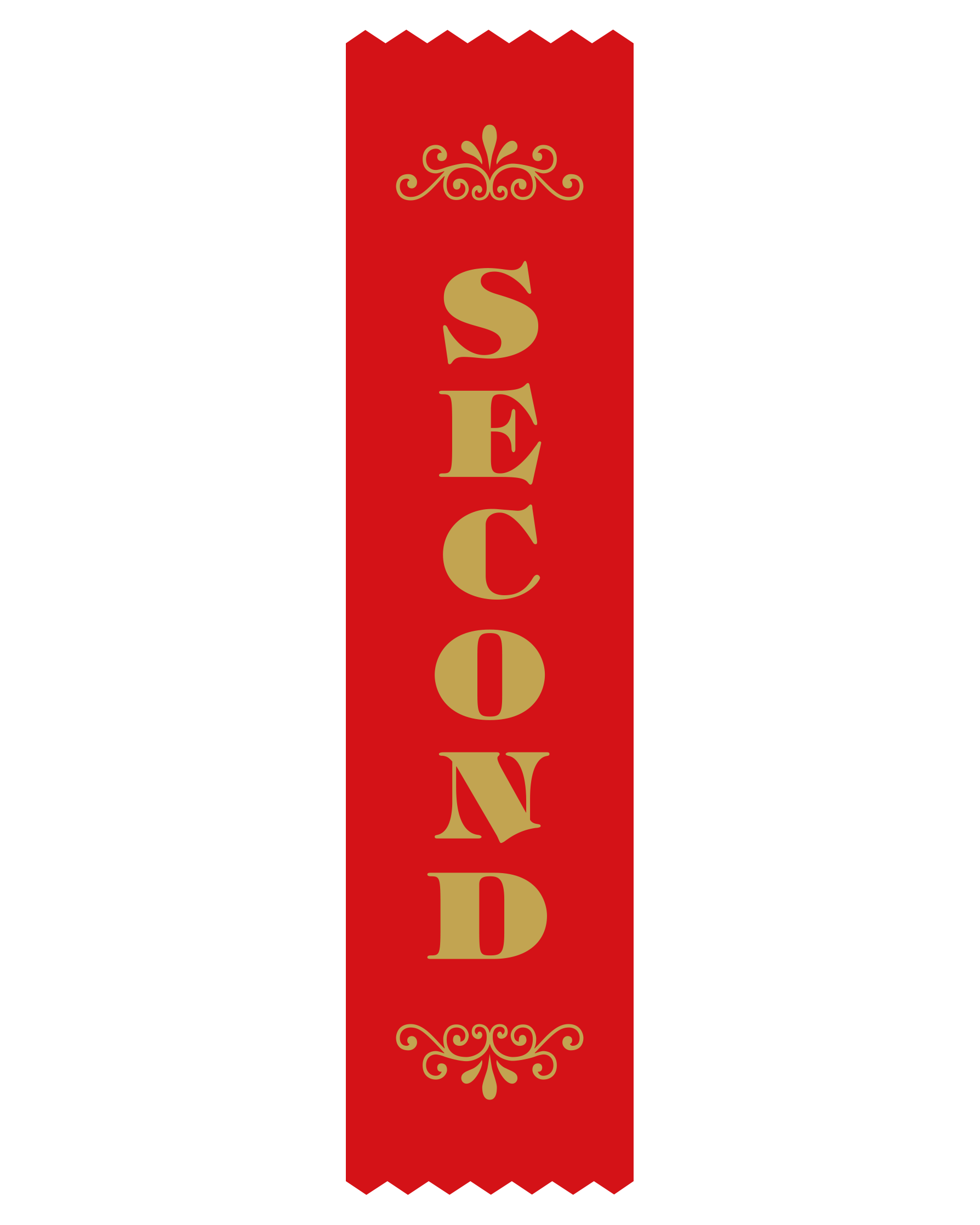 2nd Place Satin Ribbon