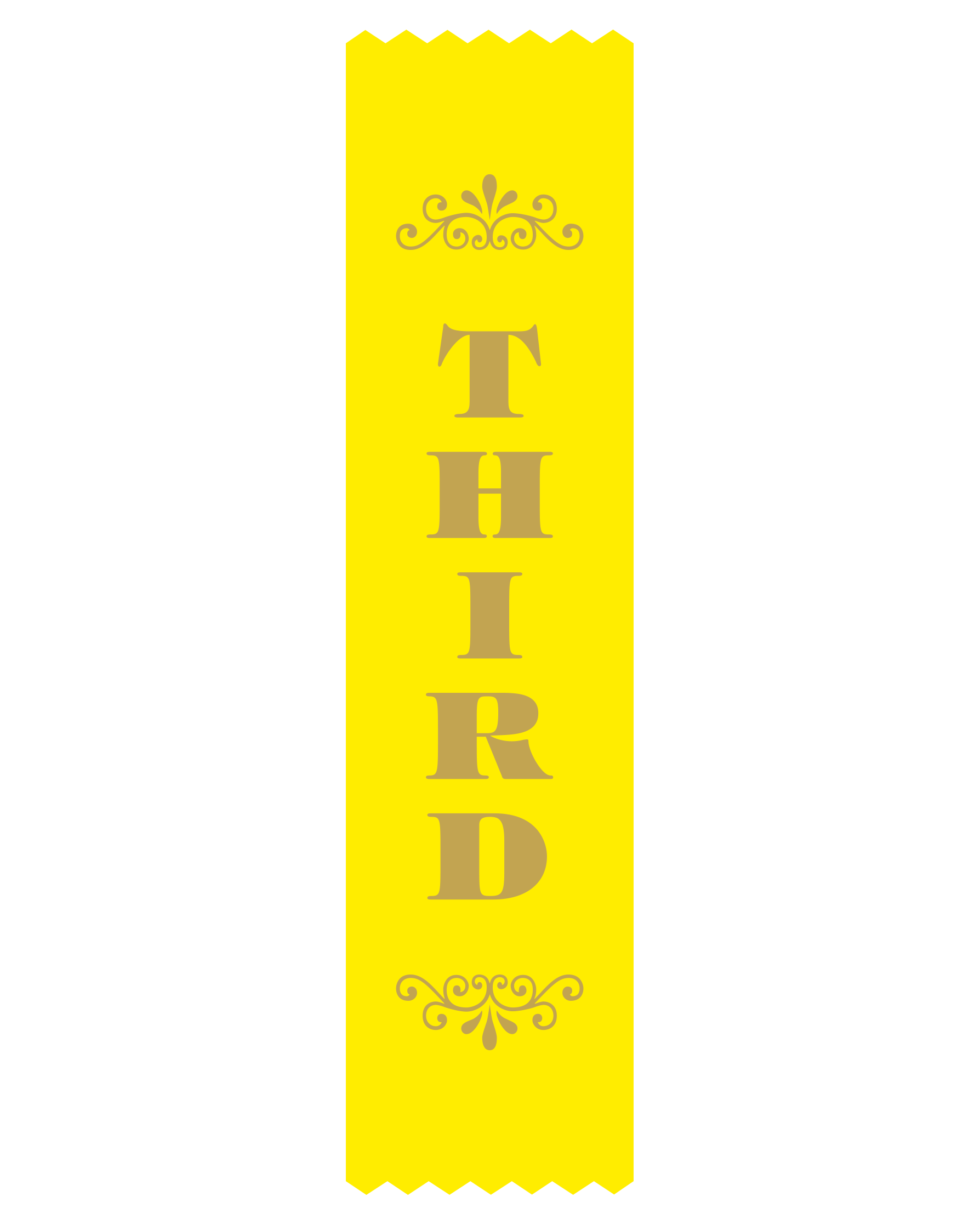 3rd Place Satin Ribbon