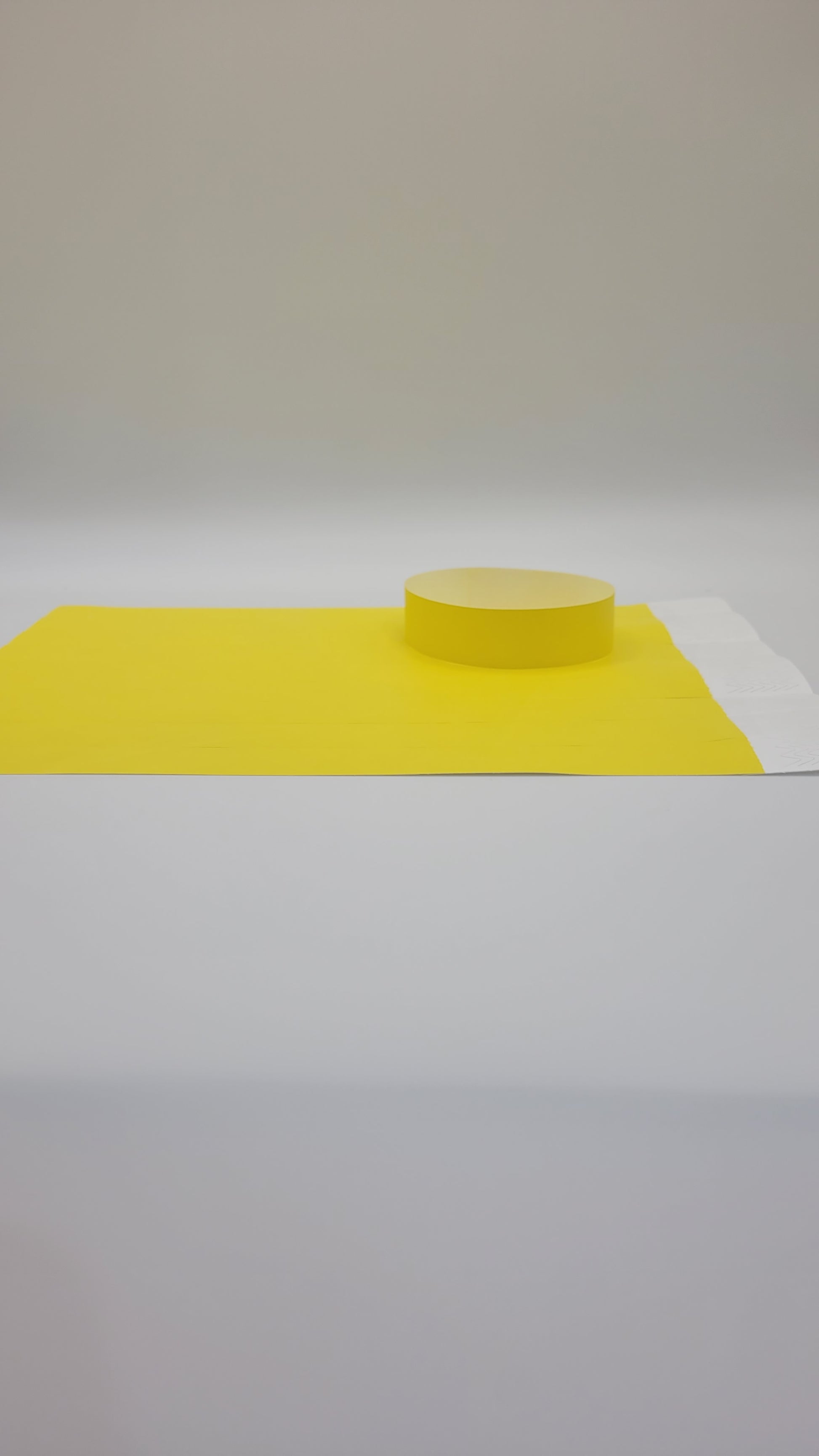 Tyvek Wristband 250 x 19mm