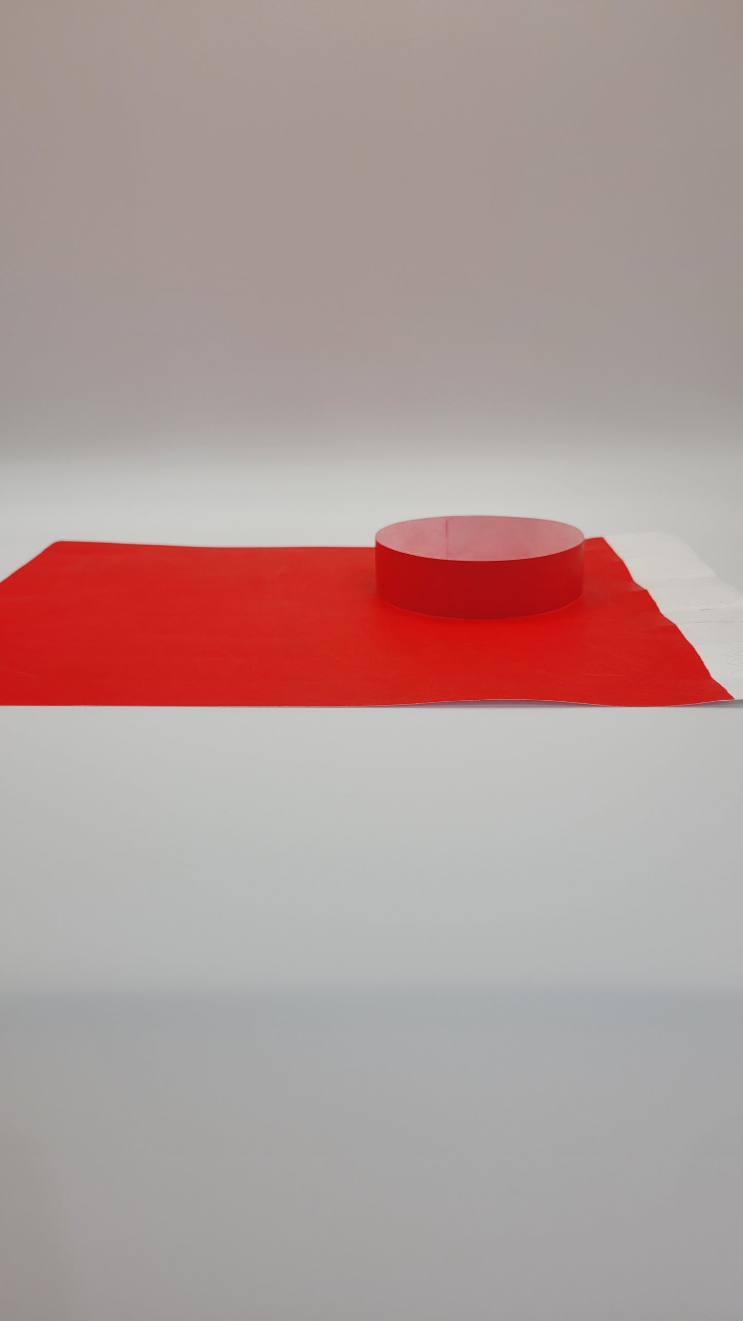 Tyvek Wristband 250 x 19mm