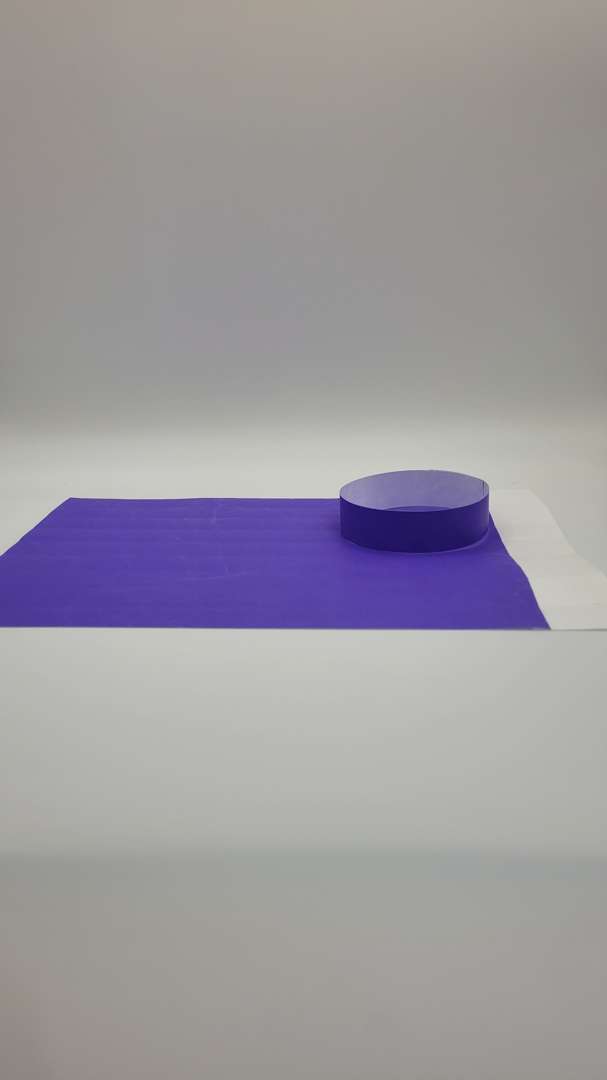 Purple Tyvek Wristband 250 x 19mm (20 pack)