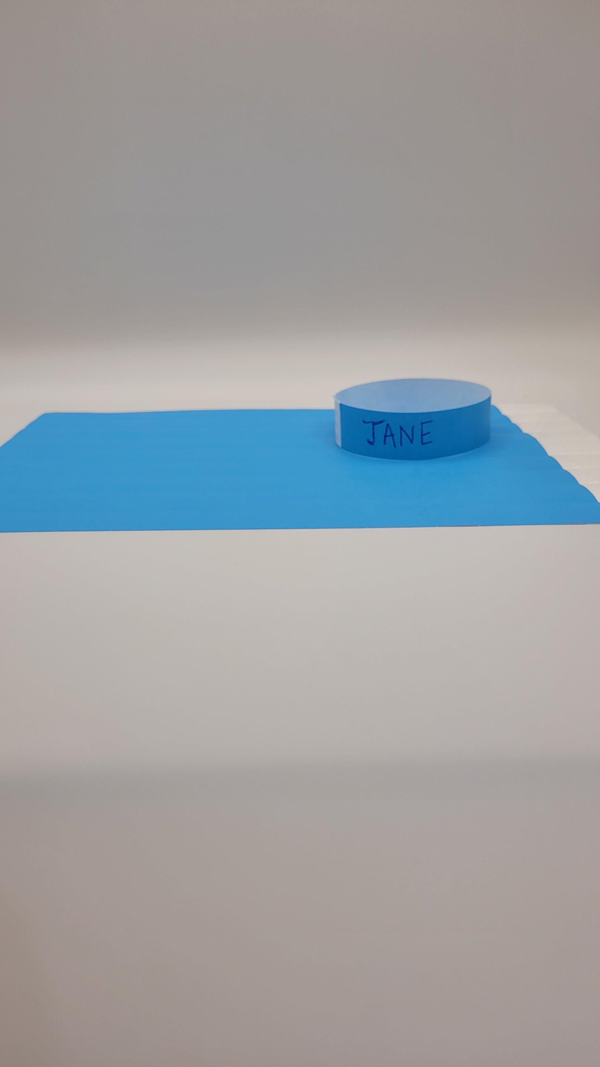 Tyvek Wristband 250 x 19mm