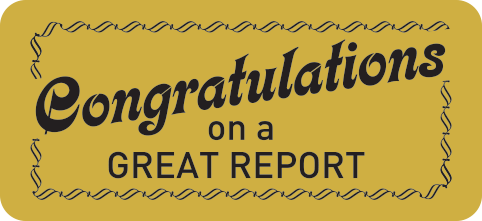 Congratulations On A Great Report Metallic Stickers