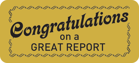 #585 Congratulations On A Great Report Metallic Stickers