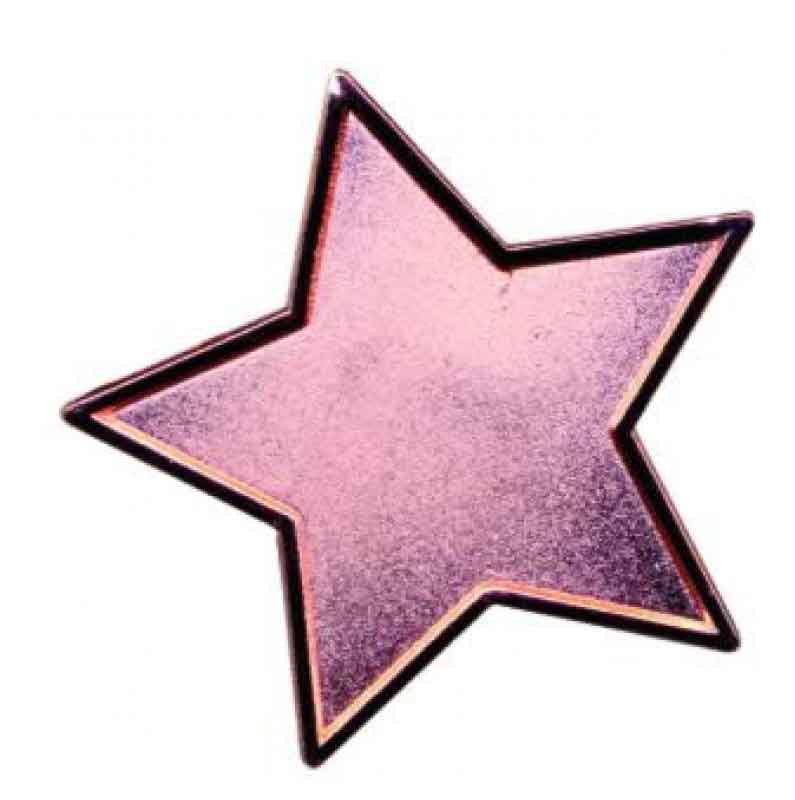 Bronze Star Enamel Badges - pack of 5