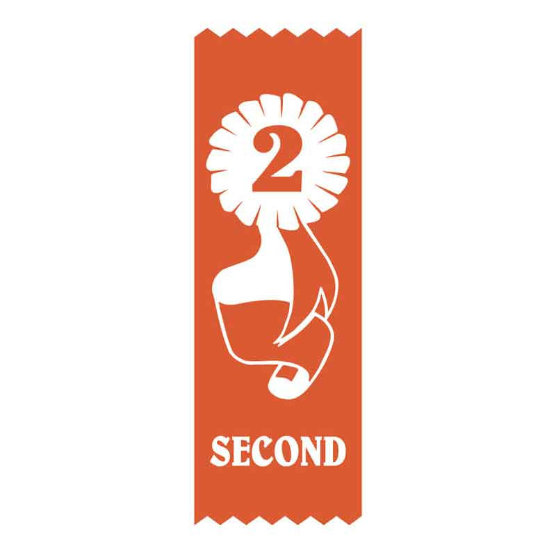 2nd Place Vinyl Ribbon