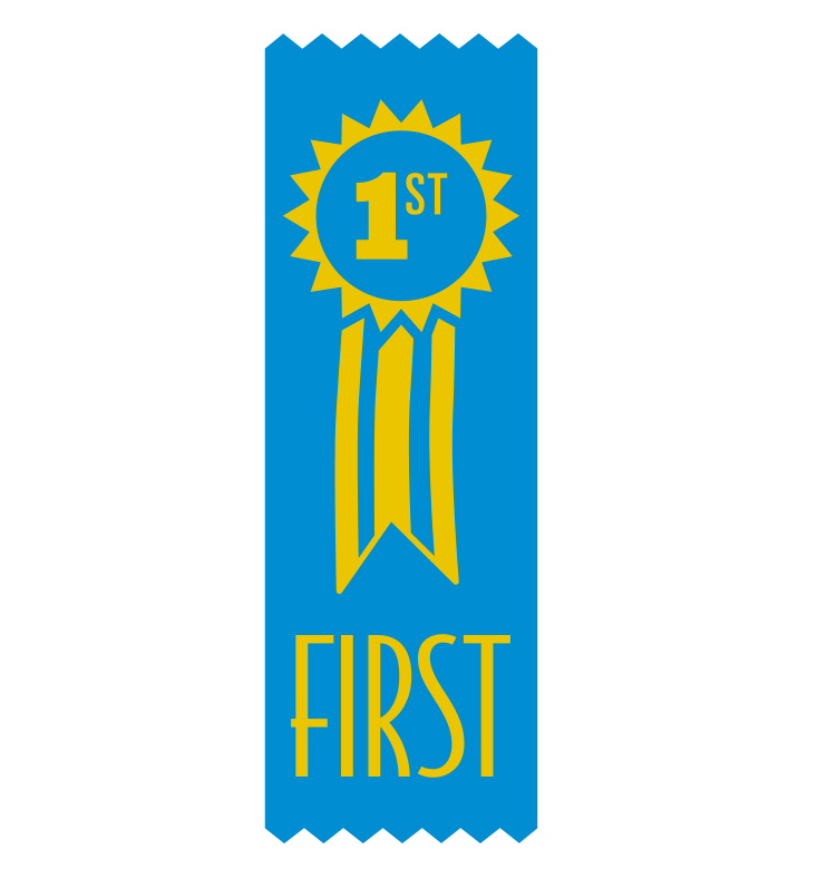 1st Place Vinyl Ribbon