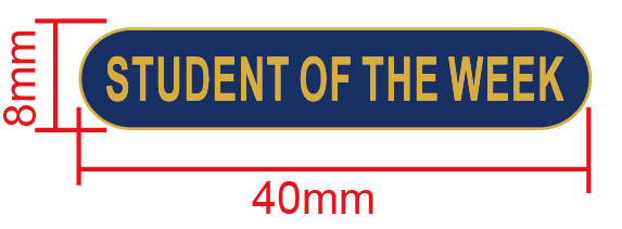#E49 Blue Student of the Week Enamel Badges - pack of 5